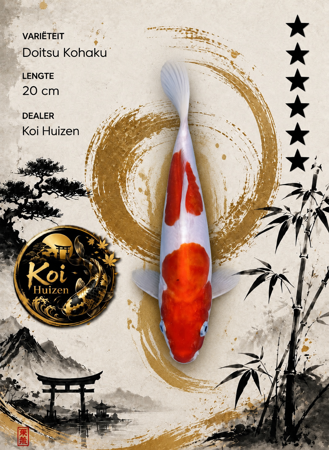 Doitsu Kohaku 20cm