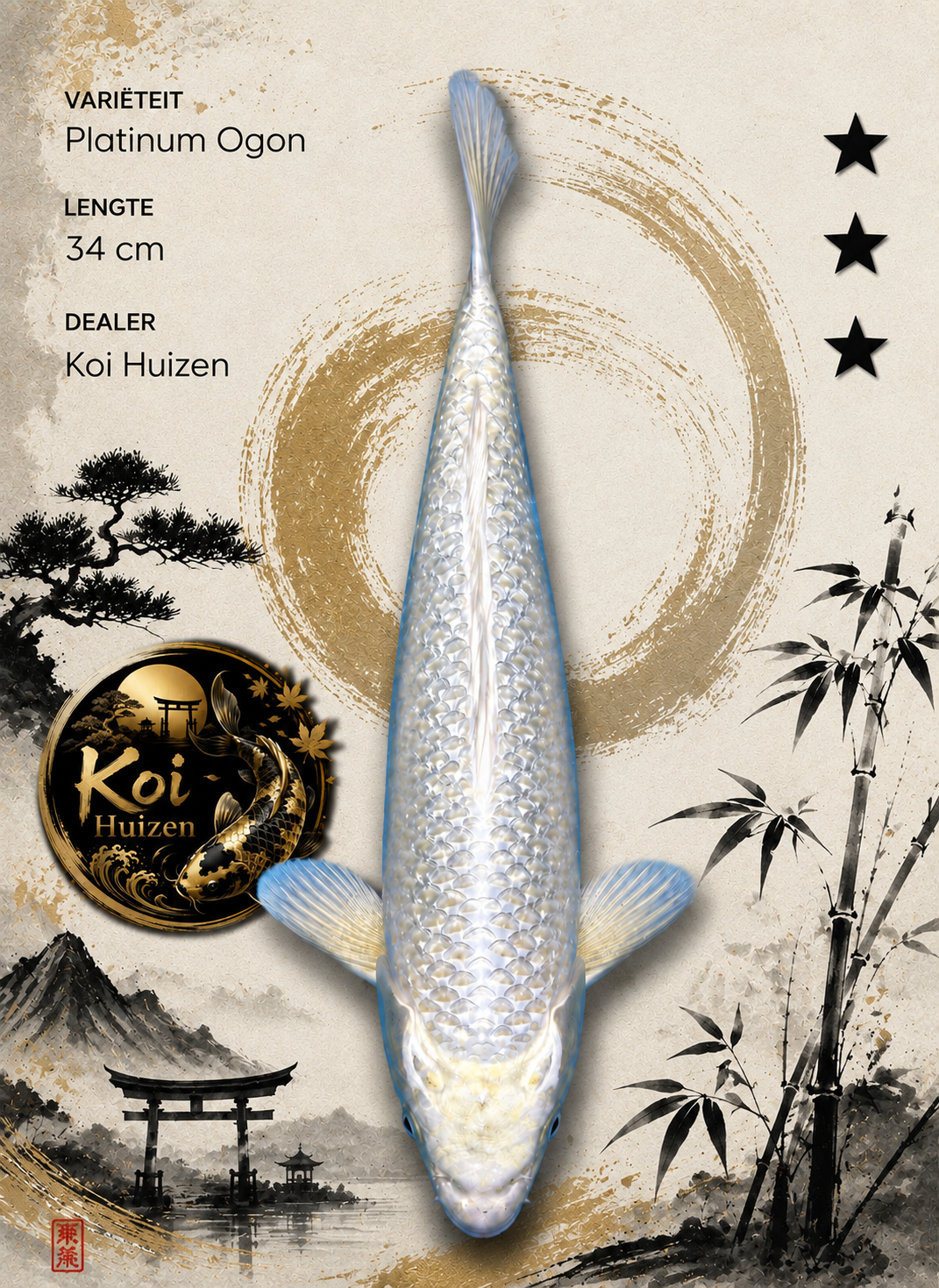Platinum Ogon Koi