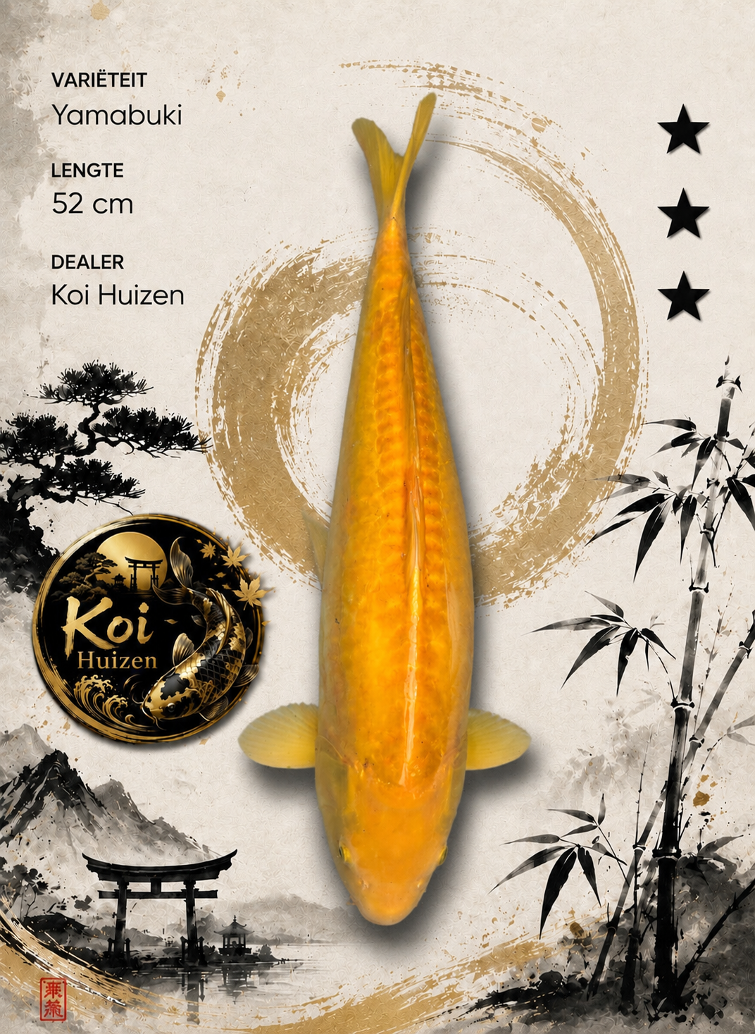 Yamabuki Ogon Koi