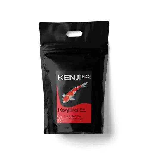 KENJI KOI Winterbalans – zinkend