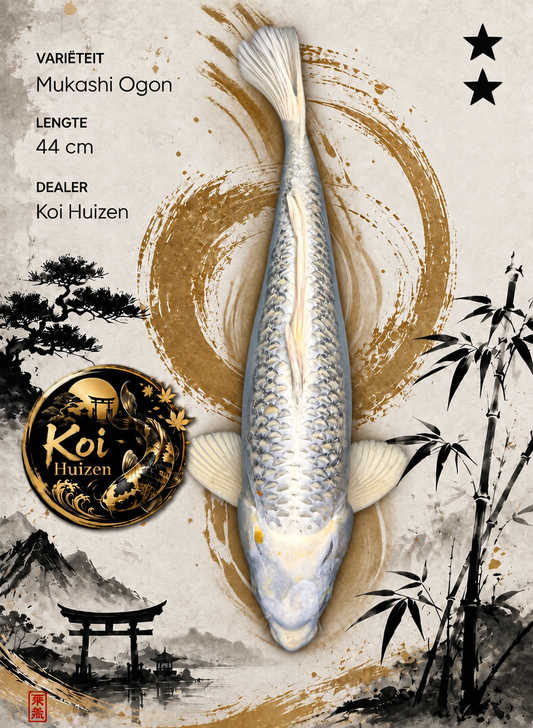 Mukashi Ogon Koi