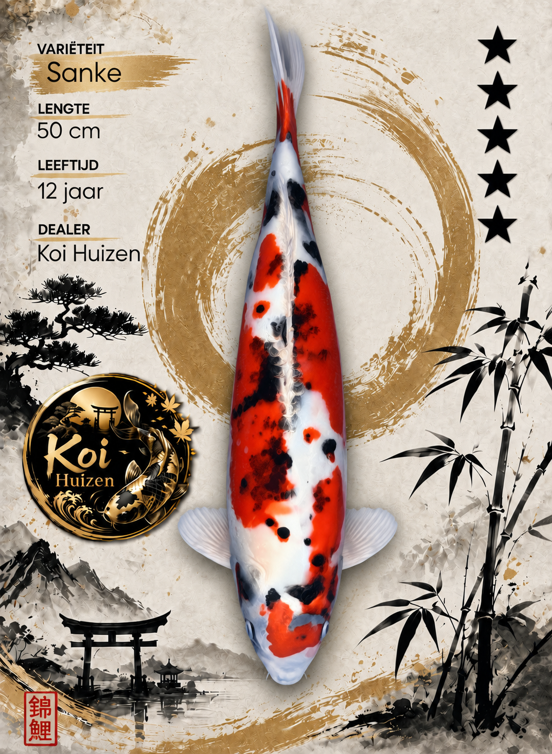 Doitsu Sanke Koi