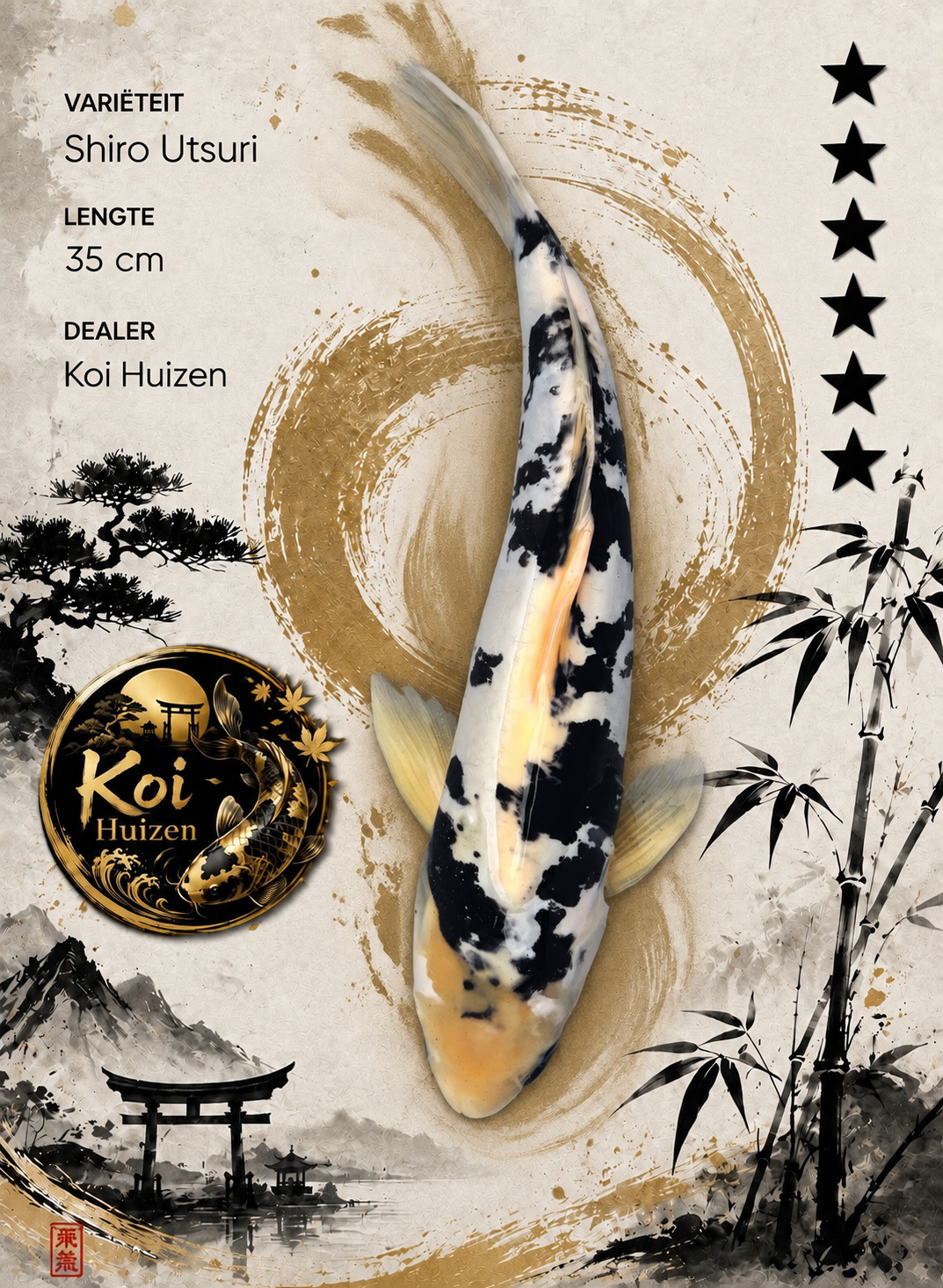 Shiro Utsuri Koi